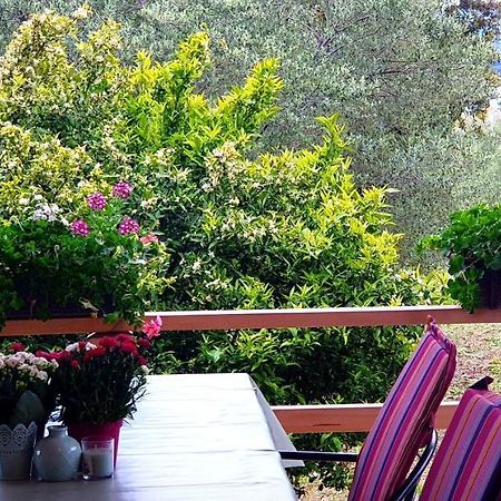 Apartman Rabatin Sveti Filip i Jakov Exteriör bild